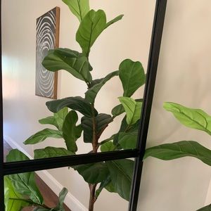 Meet your Posher, Lucy